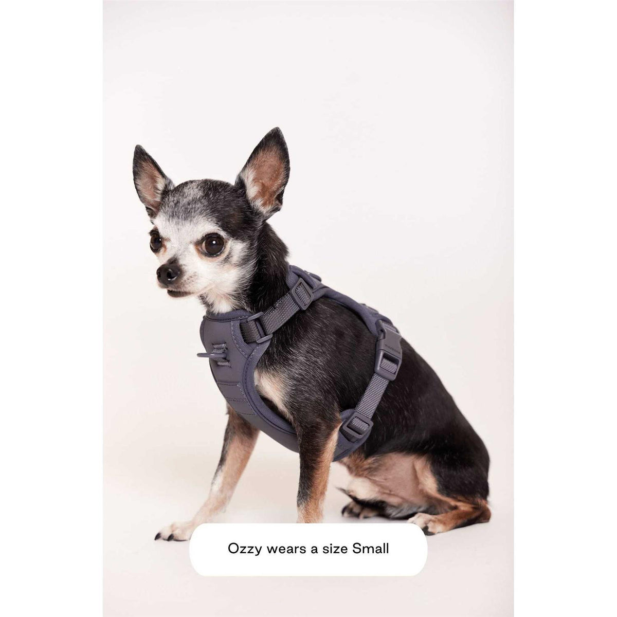 Double Panel Harness A5455