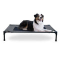 Elevated Pet Bed W250153