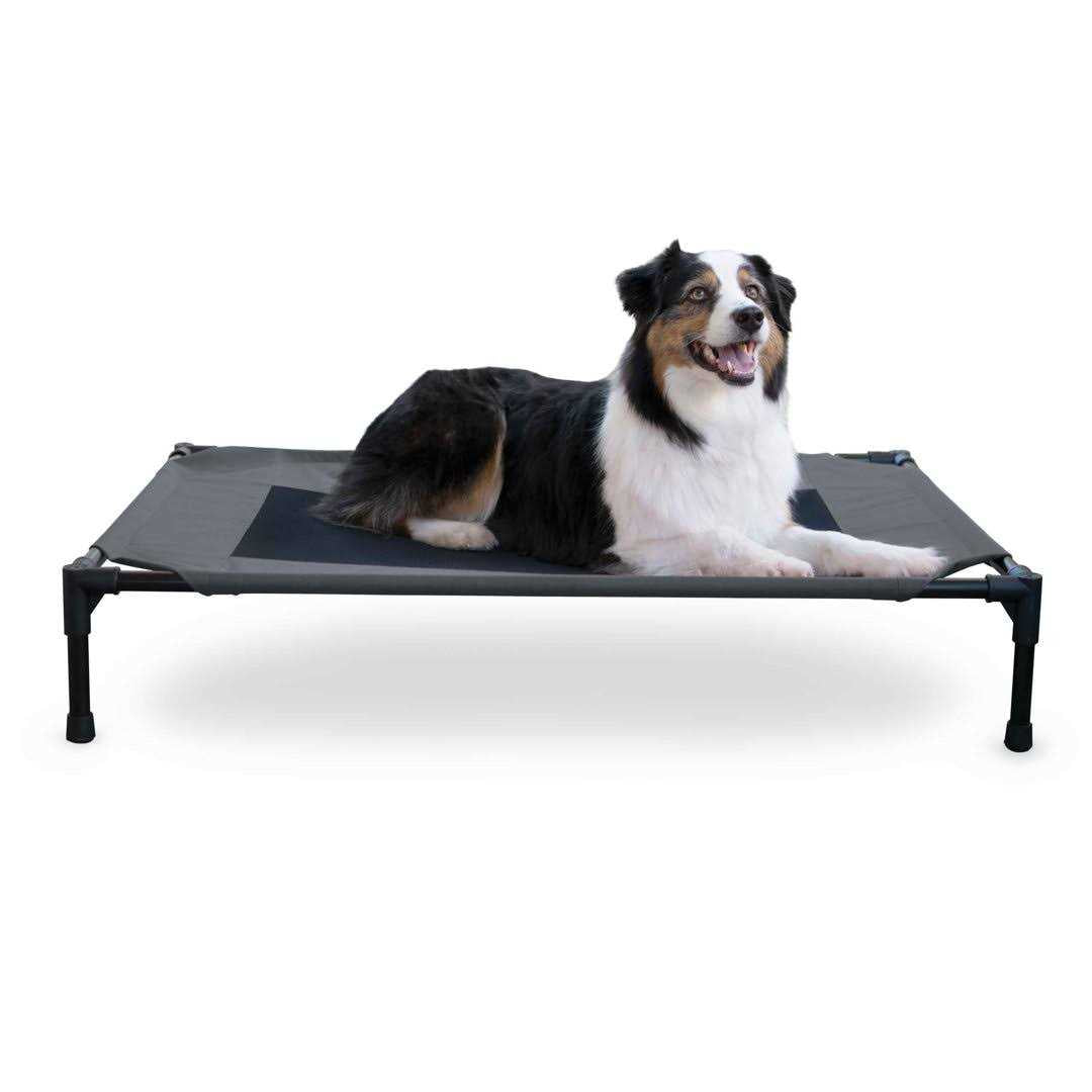 Elevated Pet Bed W250153