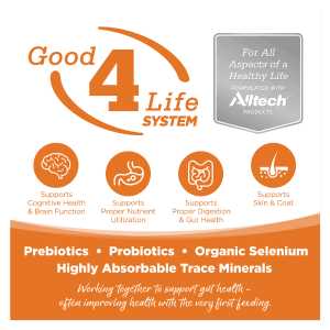 Grain Free Venison Red Lentils Dog Food U443559