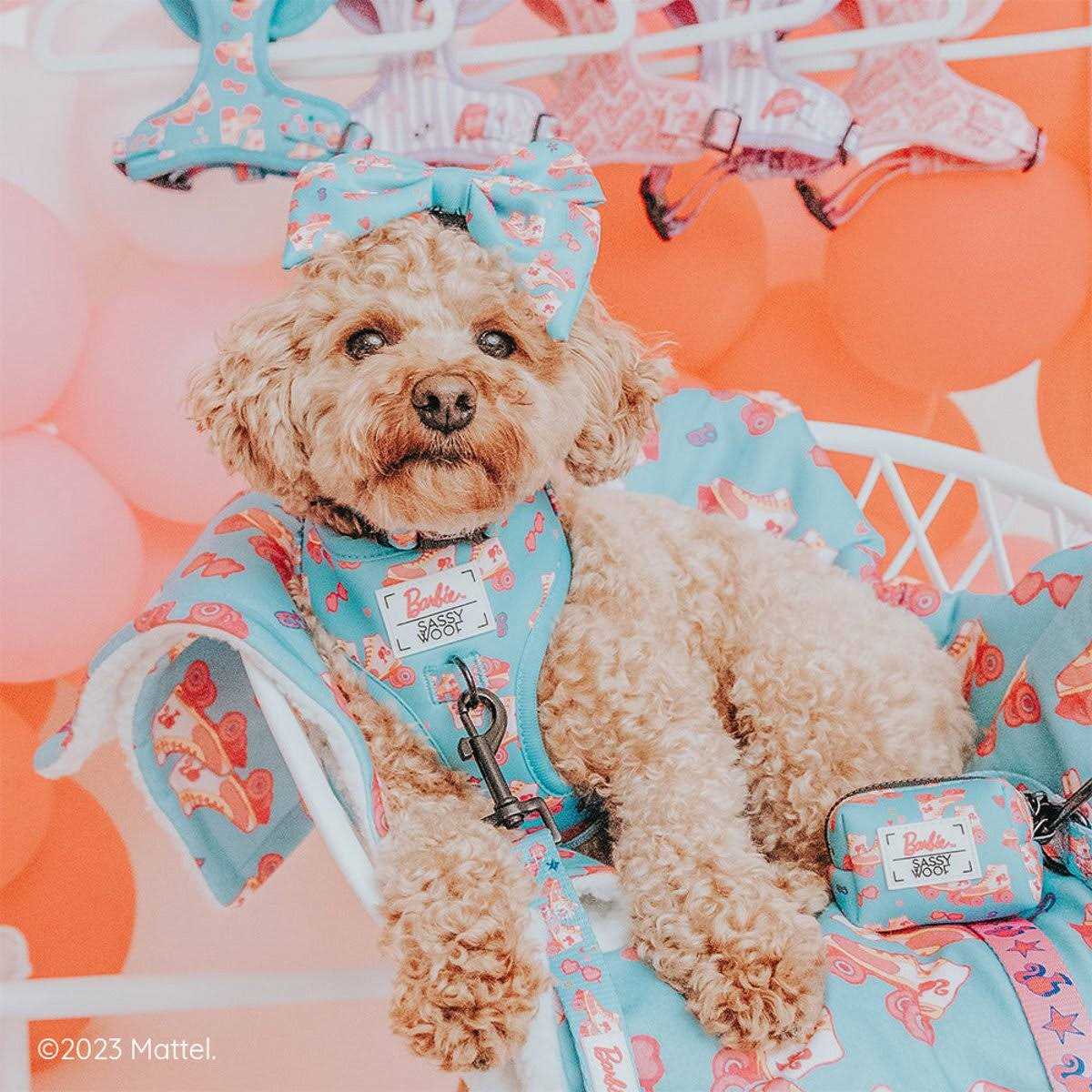 Dog Collar V30648