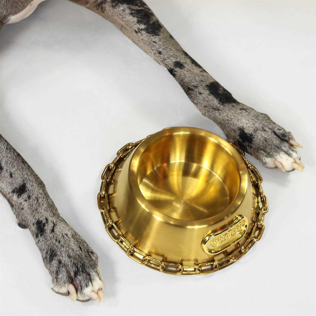 Dog Bowl M164