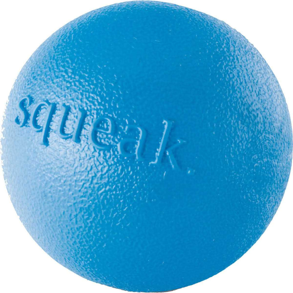 Squeak Toy Ball W795265