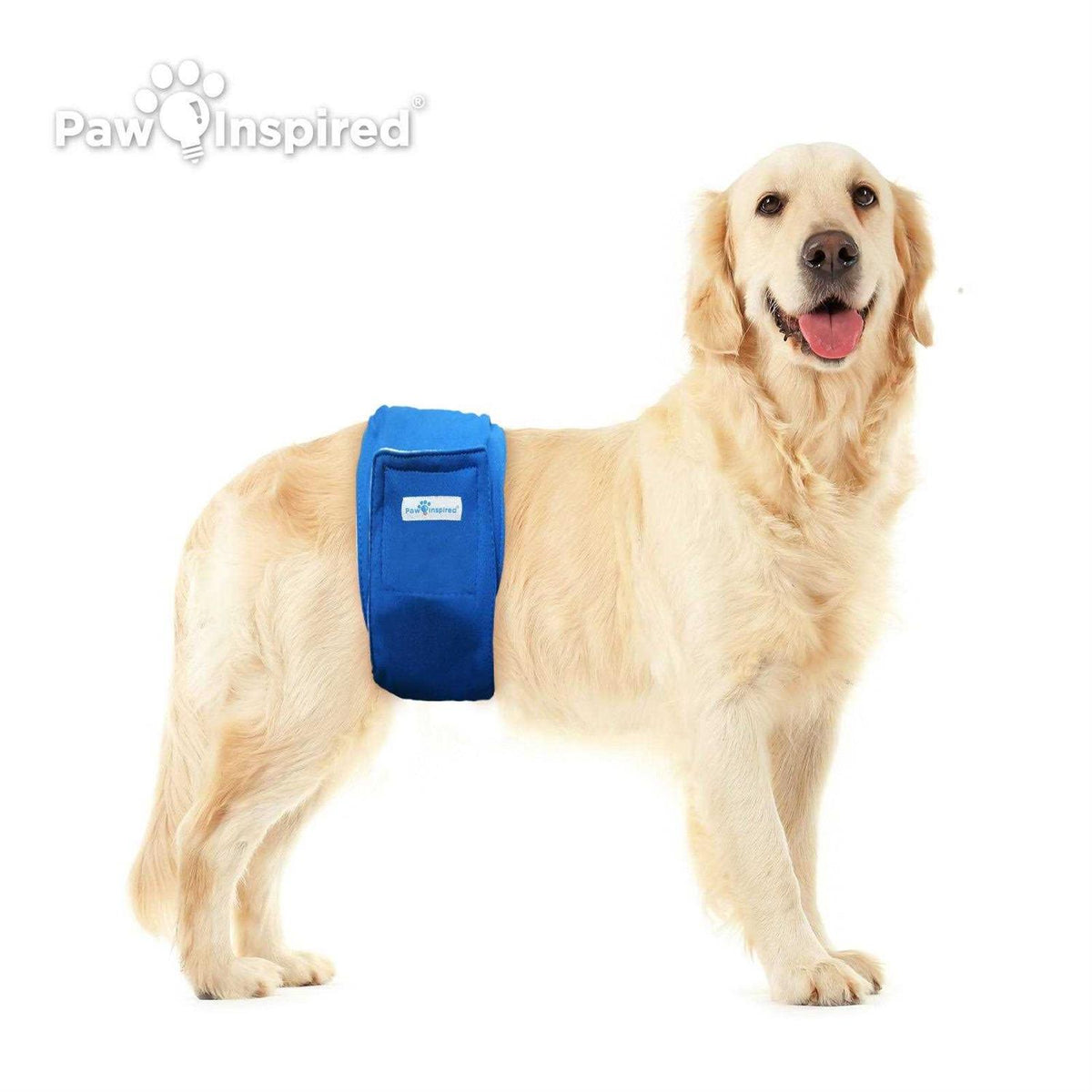 Washable Dog Belly Band M78520