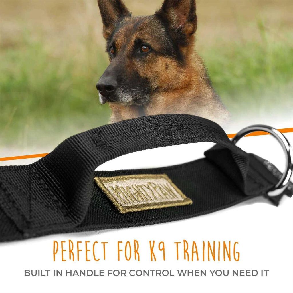 Heavy Duty Dog Collar with Metal Buckle W5033