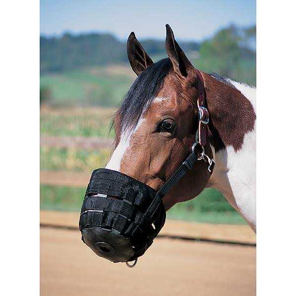 Leather Grazing Muzzle J455