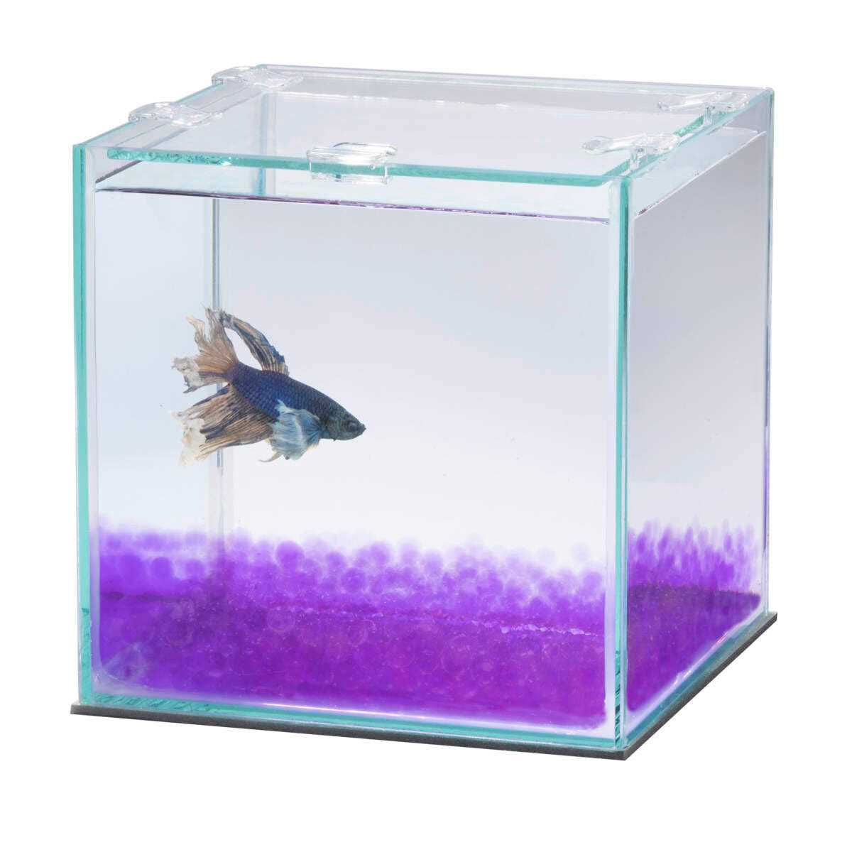 Betta Beads M886676