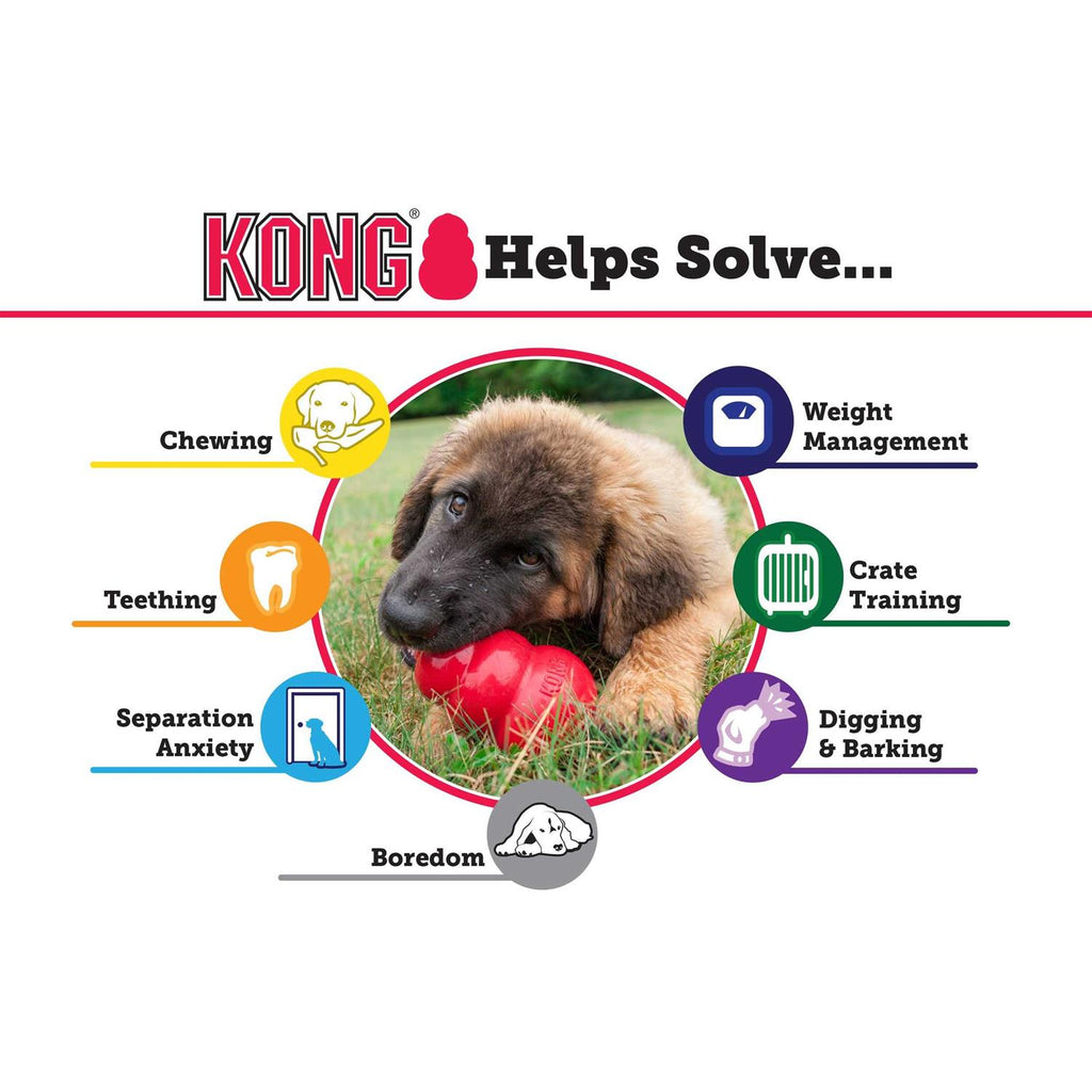 KONG Dog Toy N1630