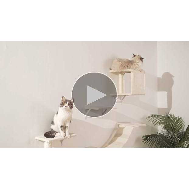 Wall-Mounted Cat Furniture 5pcs Wooden Cat Shelves T80666