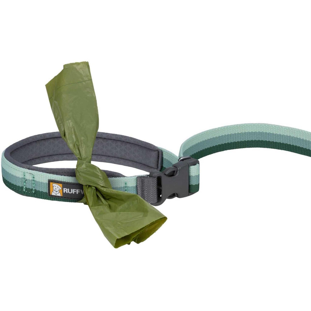 Leash P841766