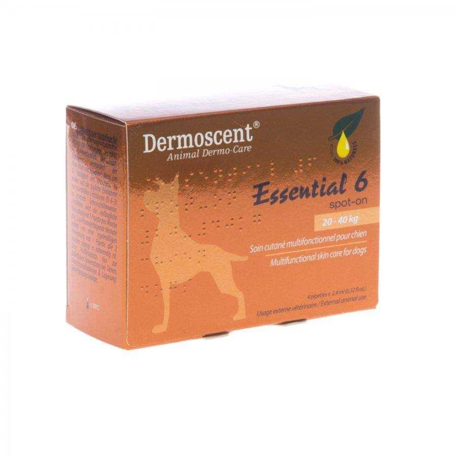 Essential 6 Spot-On Dogs B82016