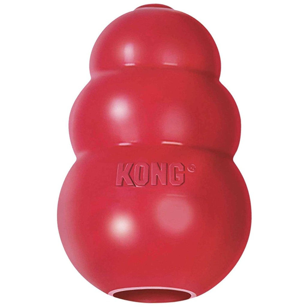 KONG Dog Toy N1630