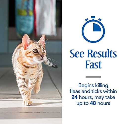 Flea and Tick Treatment for Cats W960649