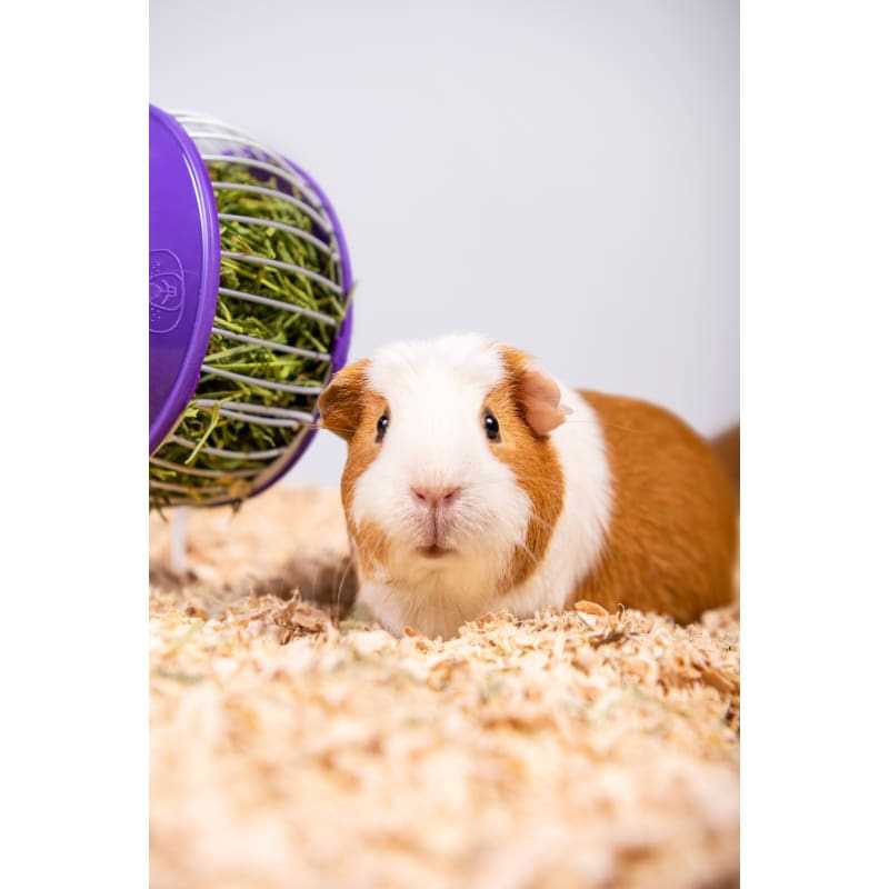 Pet Bedding K1685
