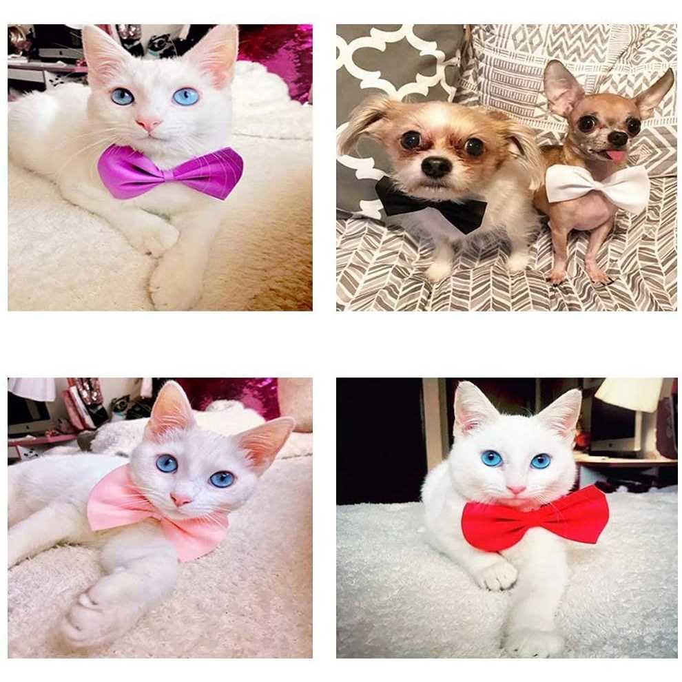 Dog Bow Ties with Adjustable Collar D496142