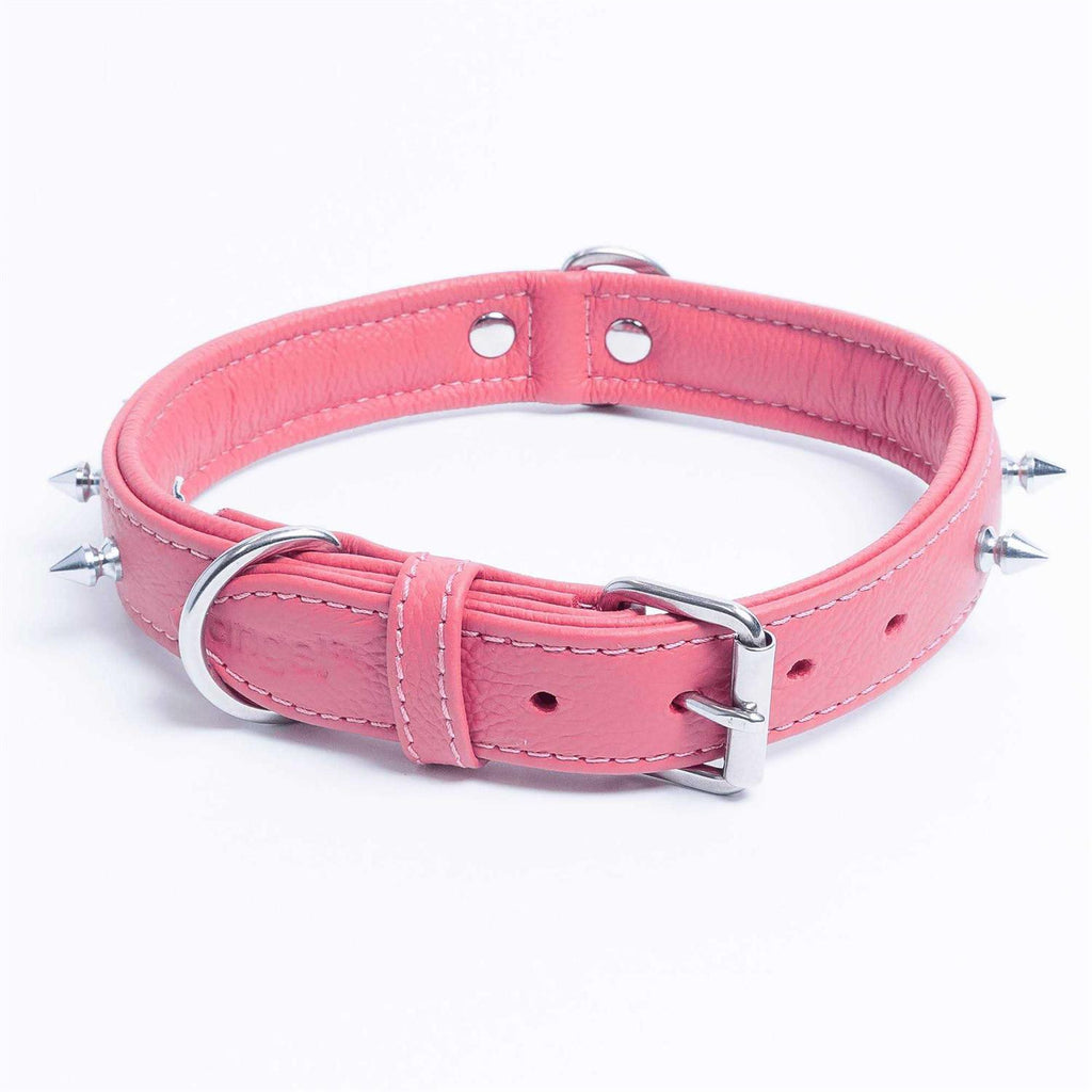 Dog Collar C883